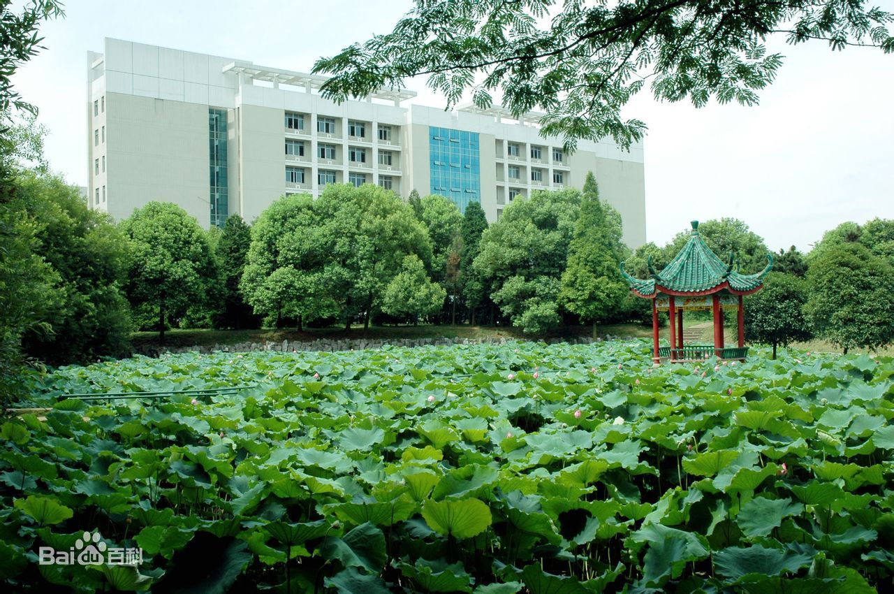 Hunan University of Science and Technology&nbsp;