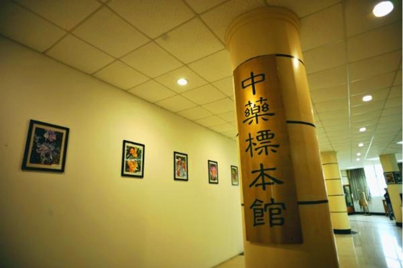 Nanjing University of Traditional Chinese Medicine 