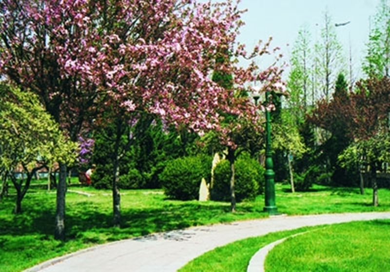 Dalian Jiaotong University