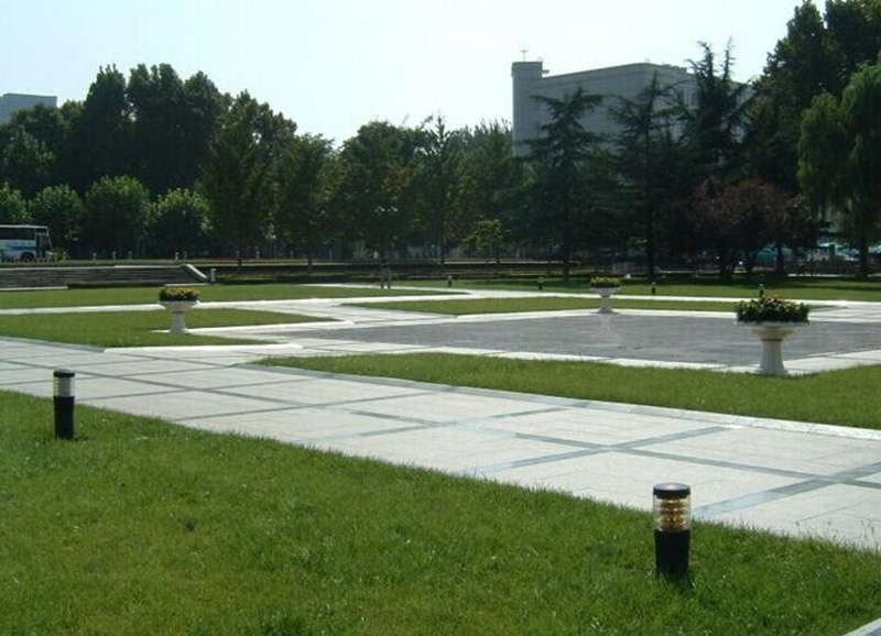 Shandong University 